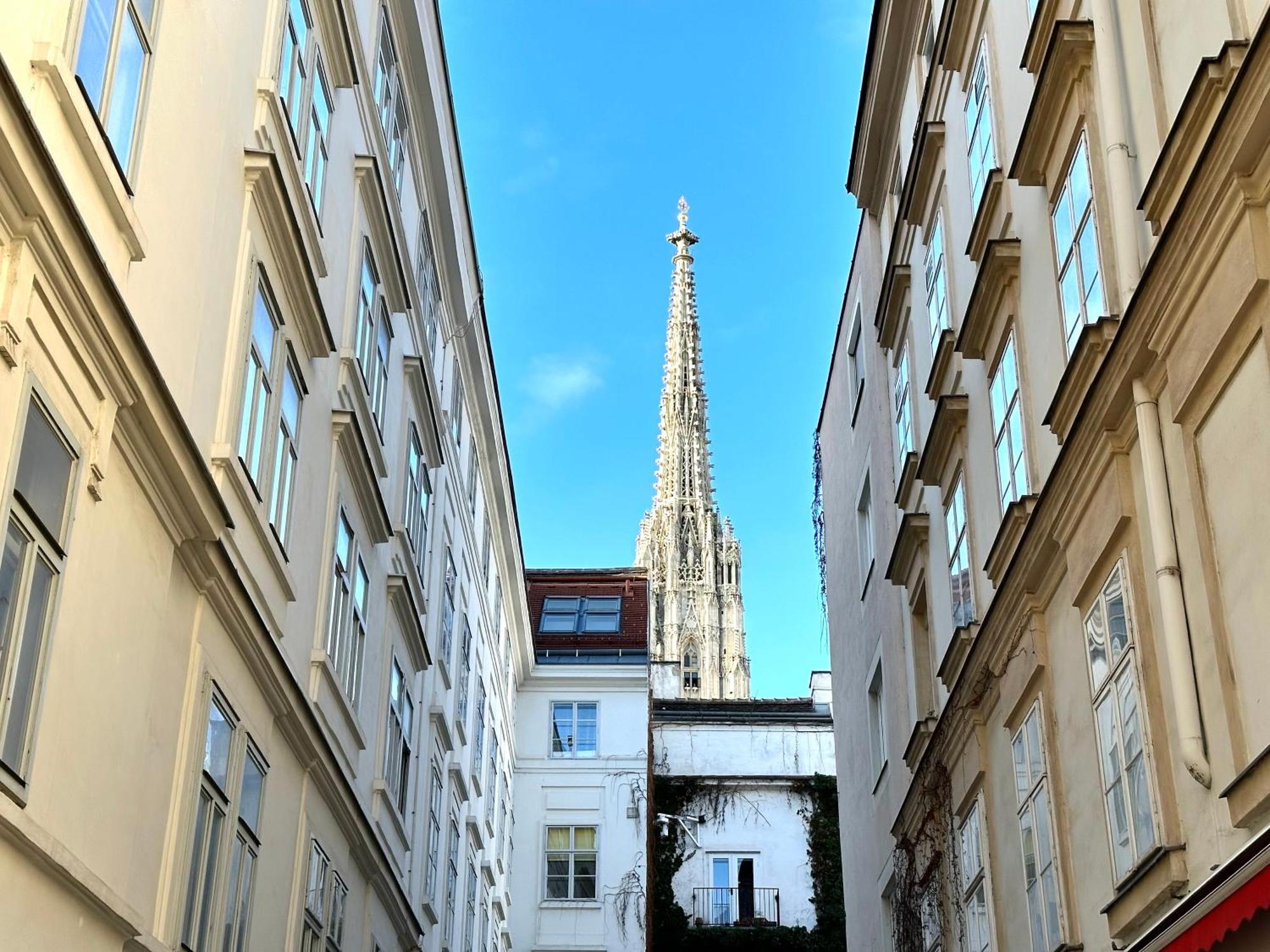 Central Stephansdom Apartment I Netflix I Self Check In Viena Exterior foto